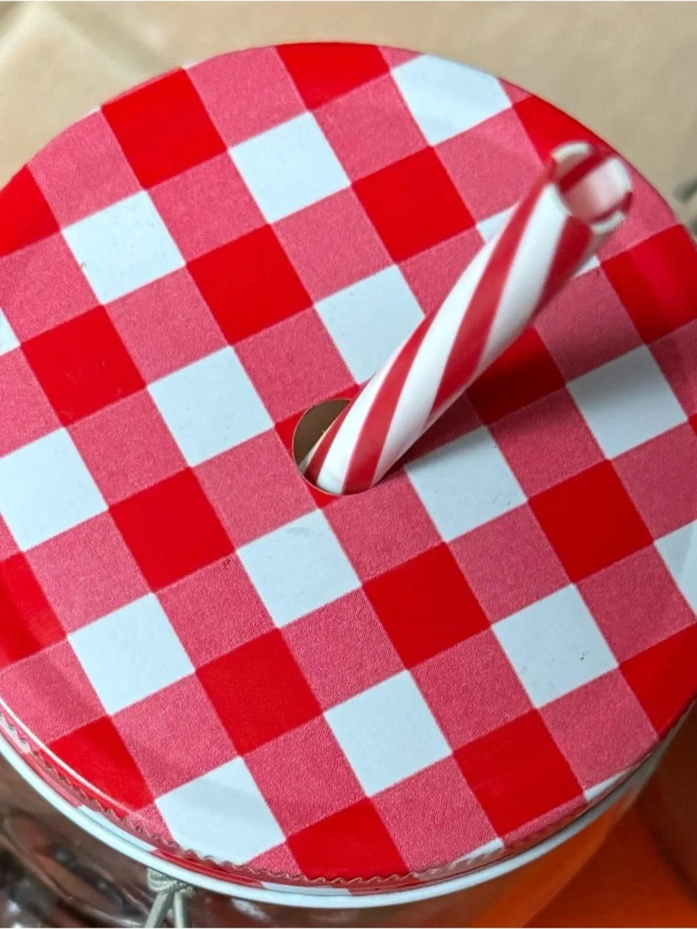 NWT The Pioneer Woman Clear Mason Jars with Red Gingham Lid and Striped Straw